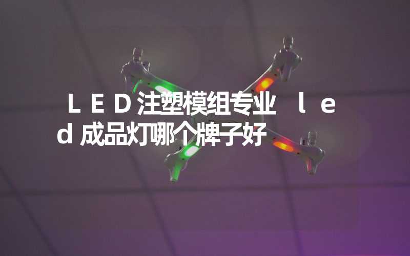 LED注塑模组专业 led成品灯哪个牌子好